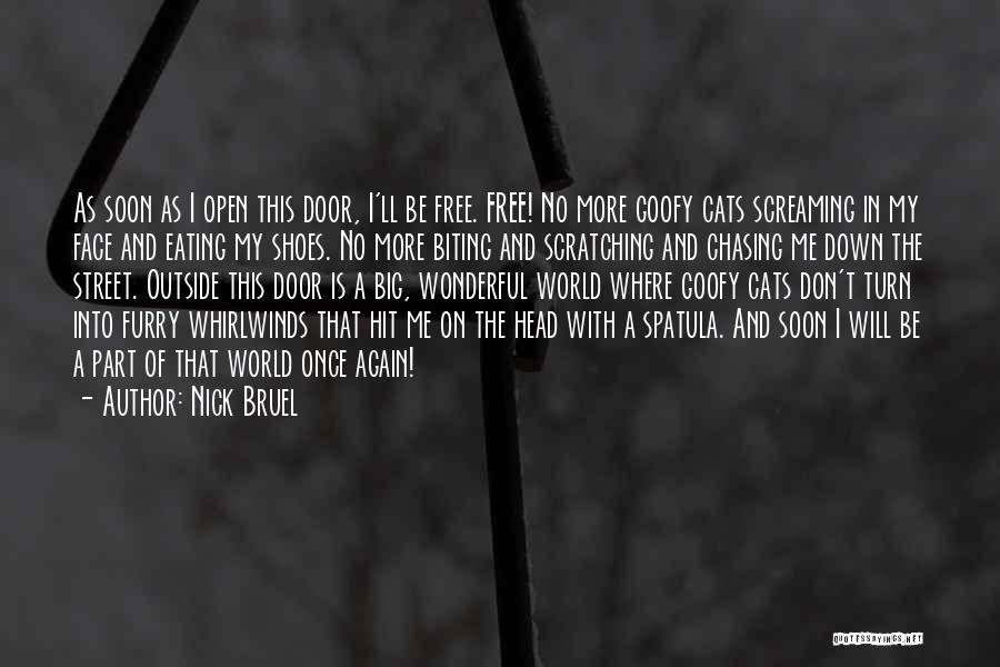 Books And Cats Quotes By Nick Bruel