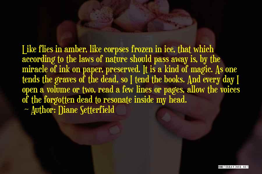 Books And Magic Quotes By Diane Setterfield