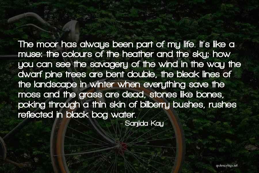 Books And Trees Quotes By Sanjida Kay Books And Trees Quotes By Sanjida Kay