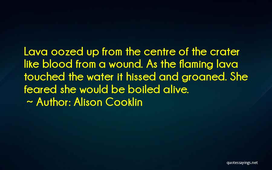 Books From Children's Books Quotes By Alison Cooklin