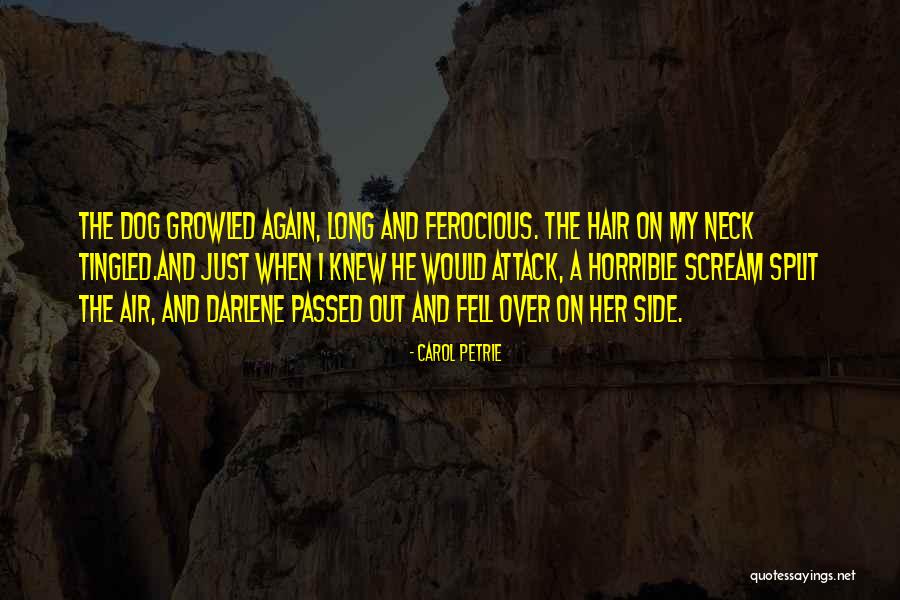 Books Funny Quotes By Carol Petrie Books Funny Quotes By Carol Petrie