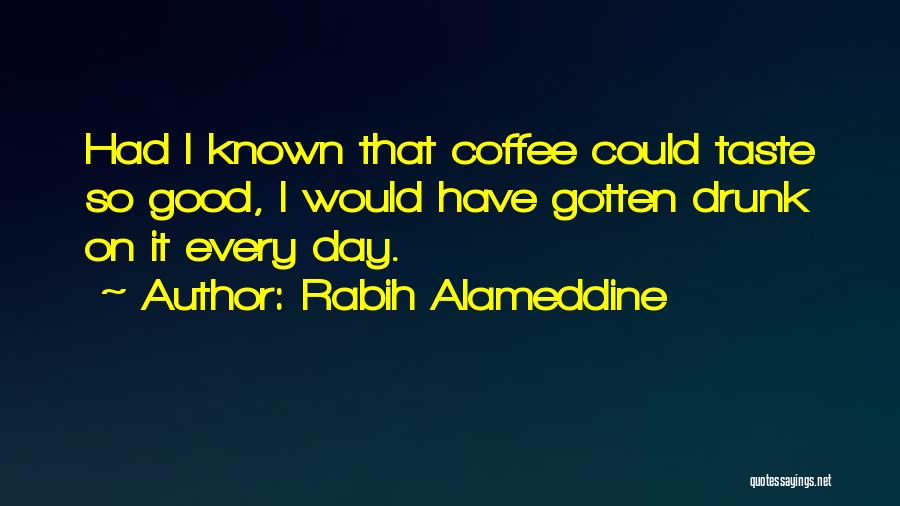 Books That Have Good Quotes By Rabih Alameddine