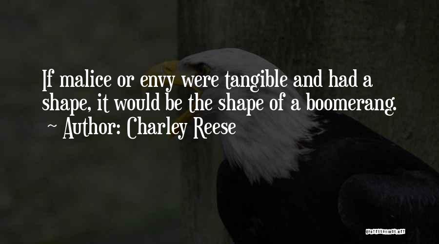 Boomerang Quotes By Charley Reese