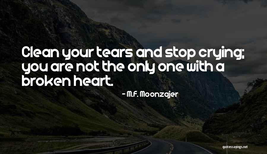 Boomy Zoomy Quotes By M.F. Moonzajer Boomy Zoomy Quotes By M.F. Moonzajer