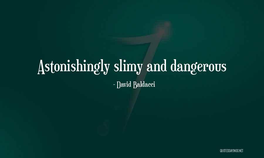 Booshwa Quotes By David Baldacci Booshwa Quotes By David Baldacci