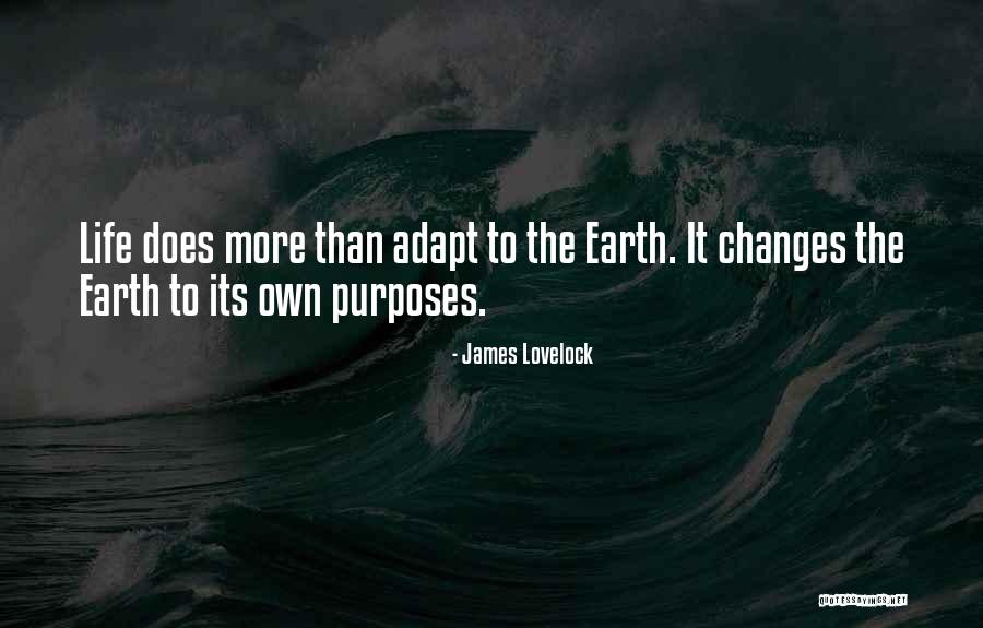 Boracay Sand Quotes By James Lovelock Boracay Sand Quotes By James Lovelock