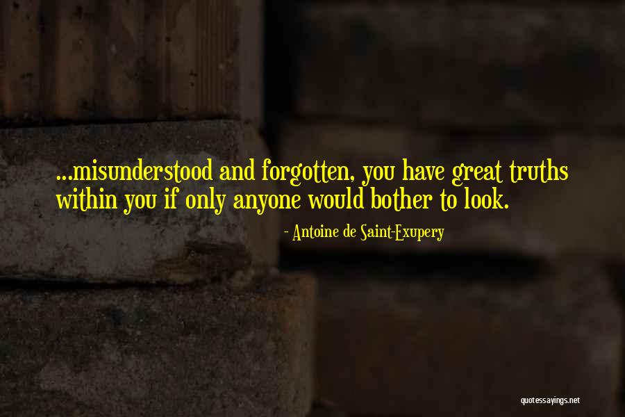 Borah Goldstein Quotes By Antoine De Saint-Exupery Borah Goldstein Quotes By Antoine De Saint-Exupery