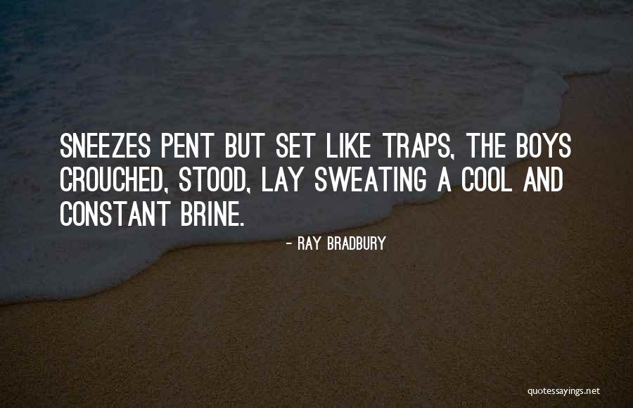 Boraschis Quotes By Ray Bradbury Boraschis Quotes By Ray Bradbury