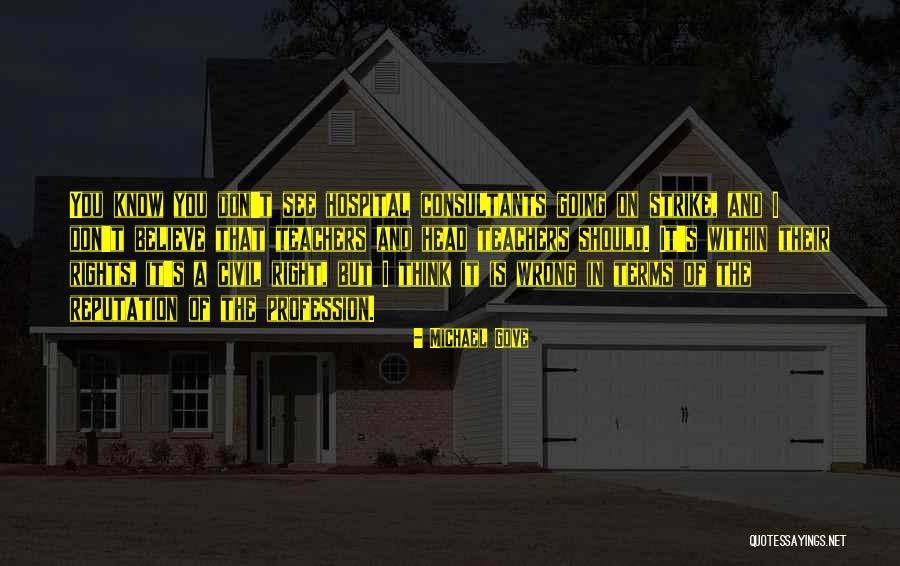 Borchardt Rifle Quotes By Michael Gove Borchardt Rifle Quotes By Michael Gove