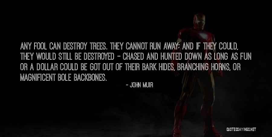 Borchers Chemicals Quotes By John Muir Borchers Chemicals Quotes By John Muir