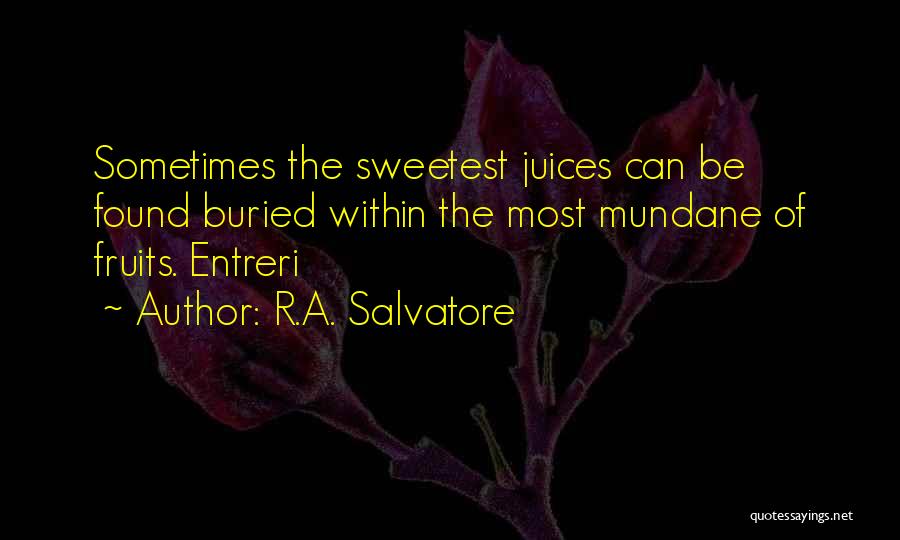 Borchers Rug Quotes By R.A. Salvatore