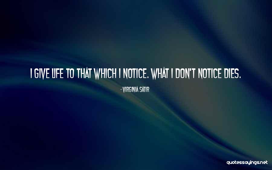Bordado Quotes By Virginia Satir Bordado Quotes By Virginia Satir