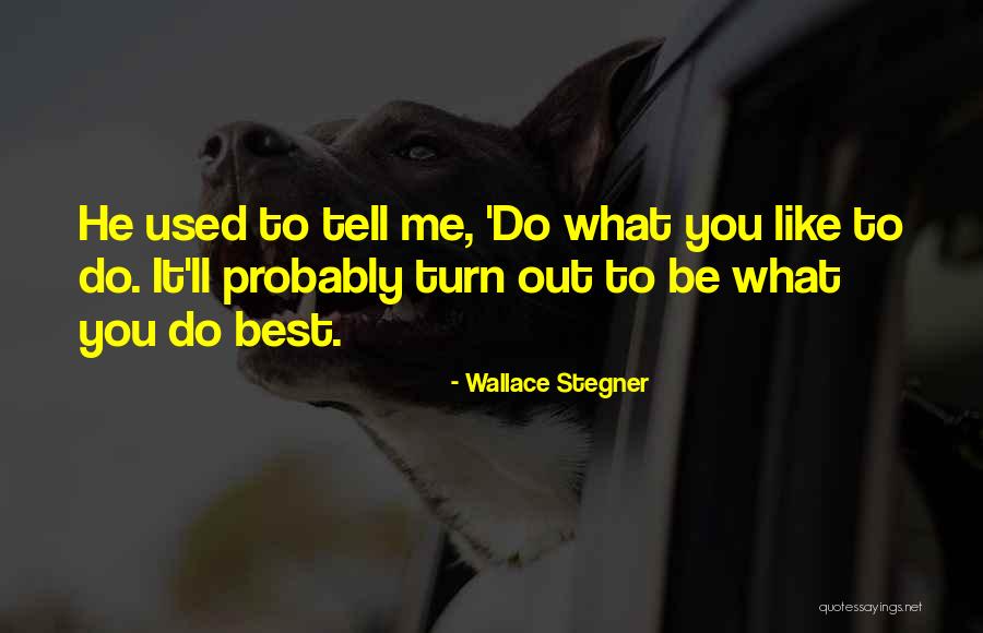 Border Collie Puppy Quotes By Wallace Stegner Border Collie Puppy Quotes By Wallace Stegner
