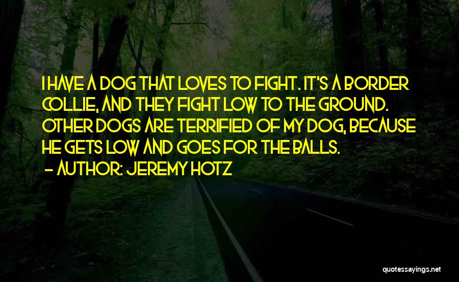 Border Collie Quotes By Jeremy Hotz