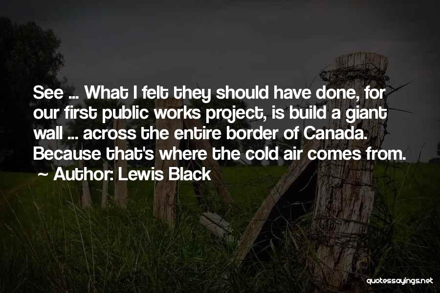 Border Wall Quotes By Lewis Black