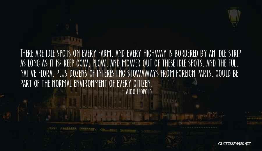 Bordered Quotes By Aldo Leopold Bordered Quotes By Aldo Leopold