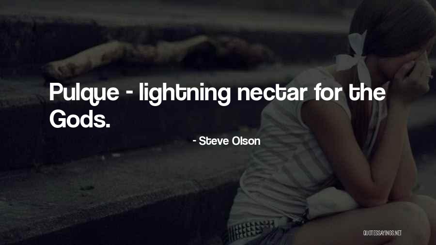 Borderie Artist Quotes By Steve Olson