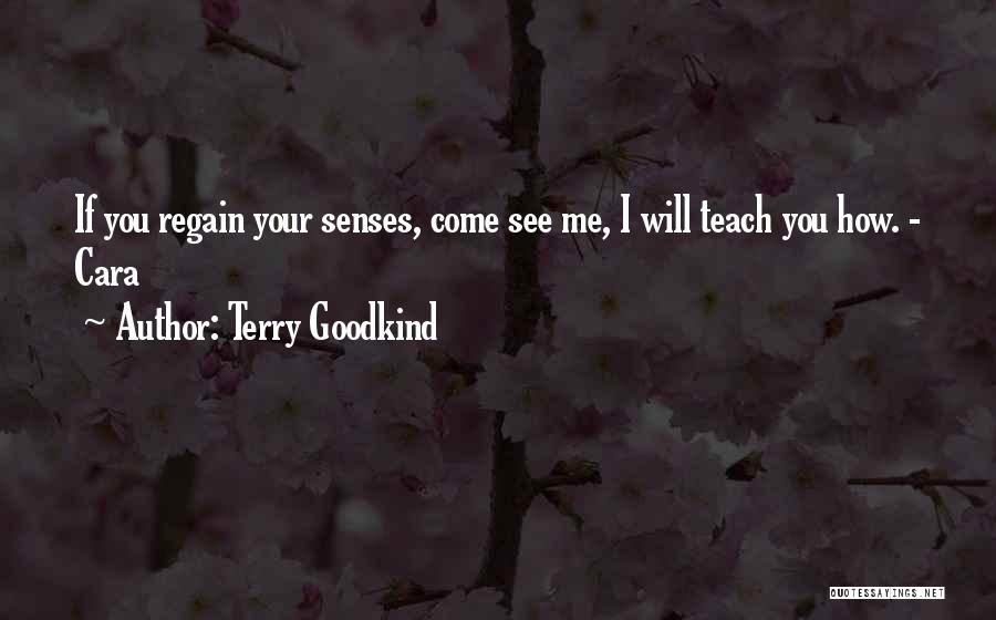 Borderie Jousse Quotes By Terry Goodkind
