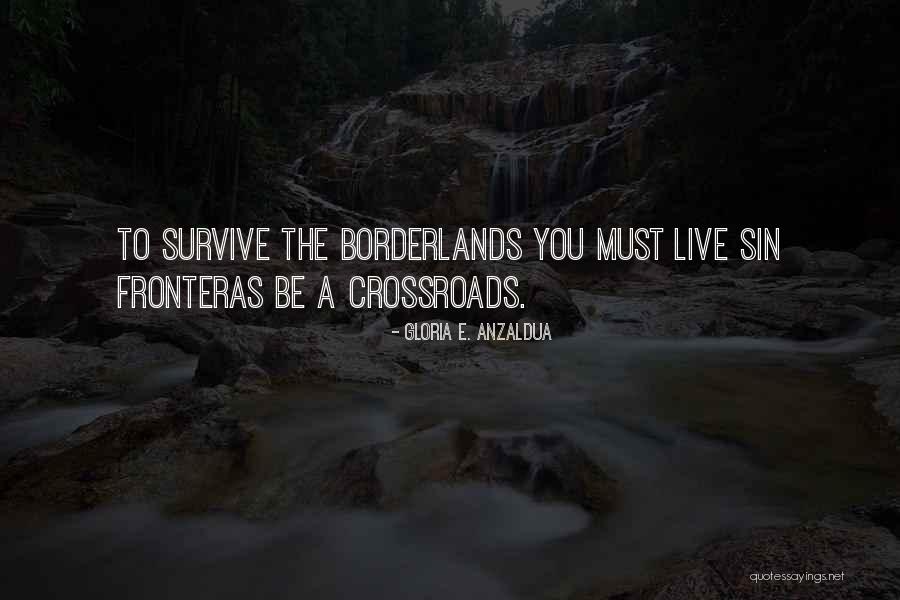 Borderlands 2 Quotes By Gloria E. Anzaldua