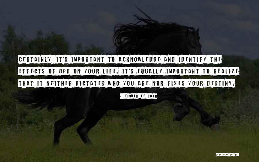 Borderline Personality Disorder Quotes By Kimberlee Roth Borderline Personality Disorder Quotes By Kimberlee Roth