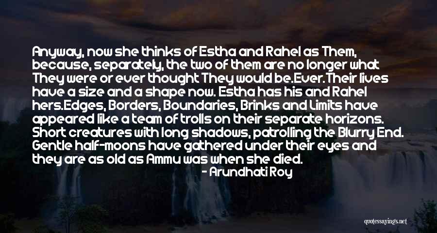 Borders And Boundaries Quotes By Arundhati Roy