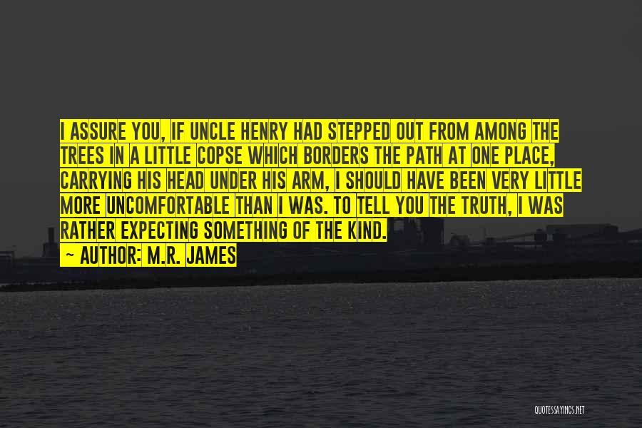 Borders Quotes By M.R. James
