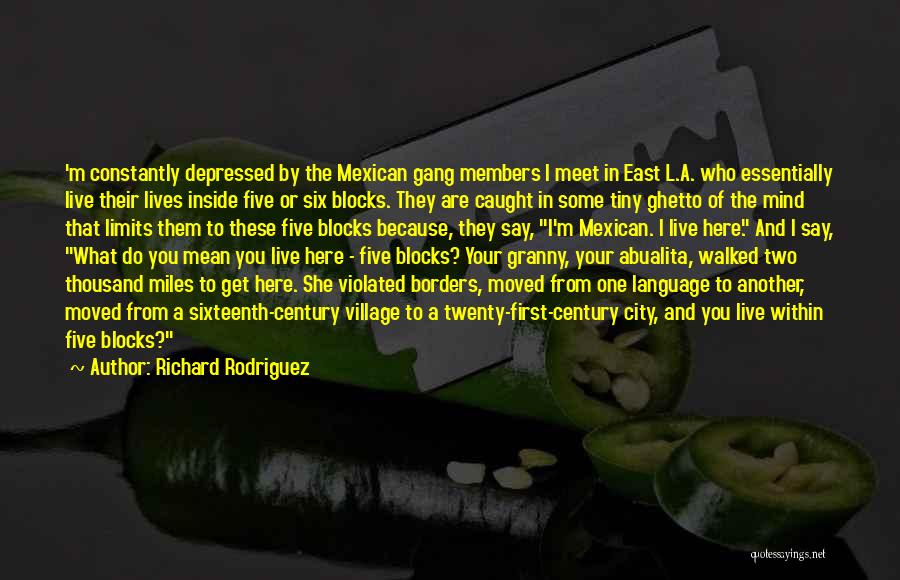 Borders Quotes By Richard Rodriguez