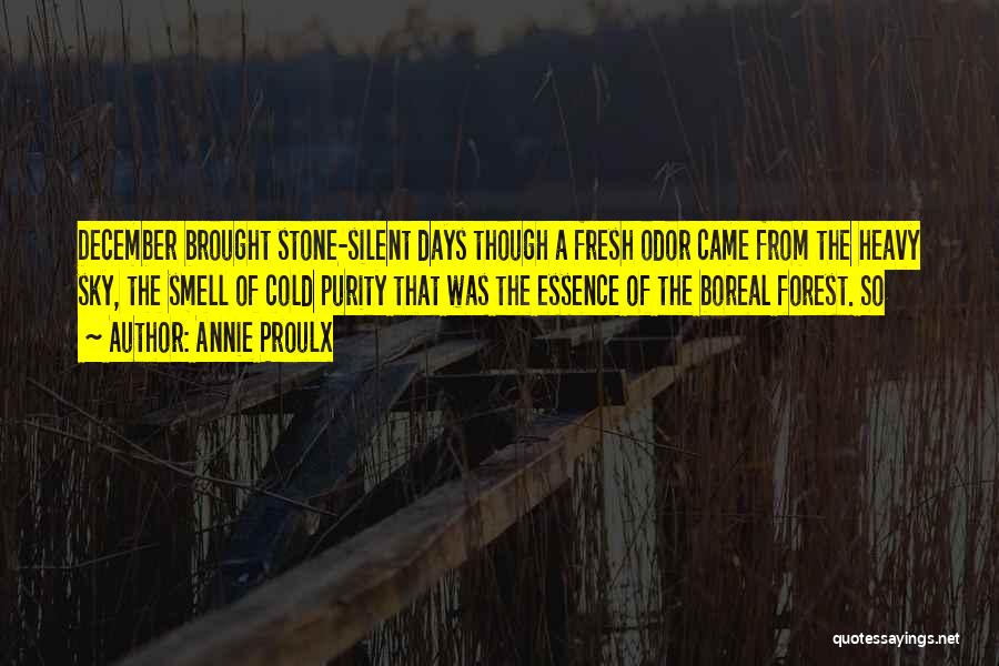 Boreal Forest Quotes By Annie Proulx