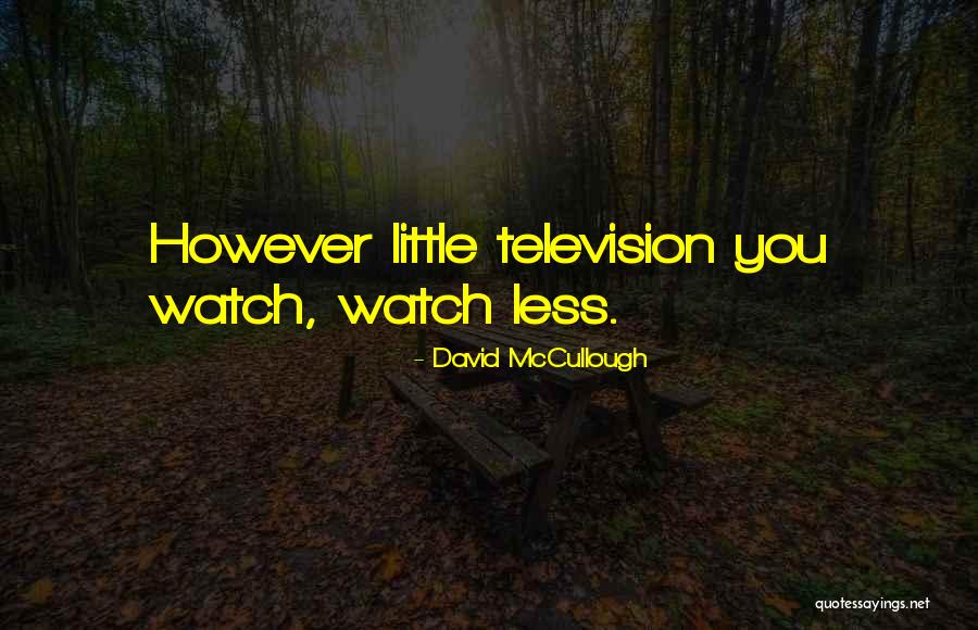 Borean Leather Quotes By David McCullough