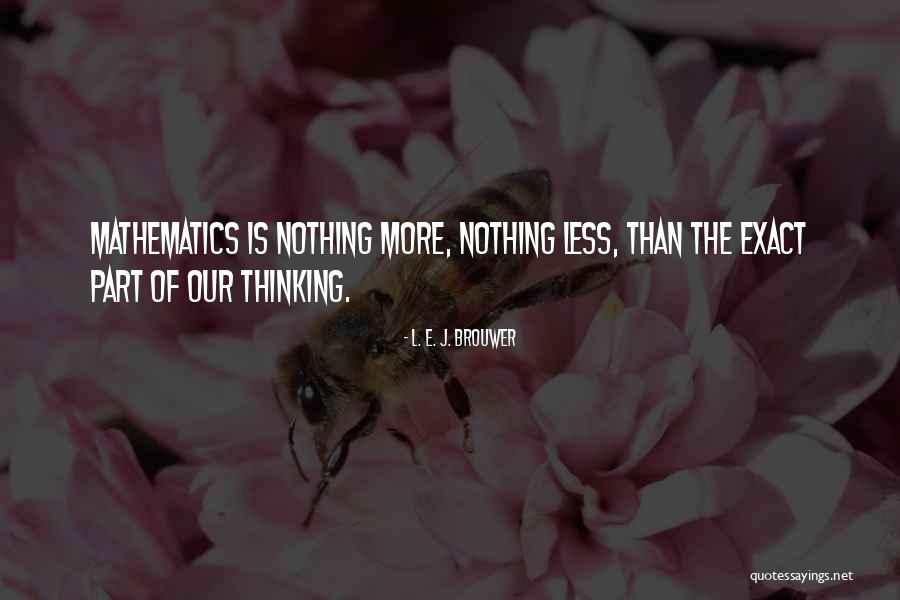Borenstein Meta Quotes By L. E. J. Brouwer