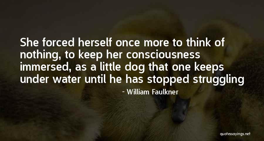 Borer Quotes By William Faulkner Borer Quotes By William Faulkner
