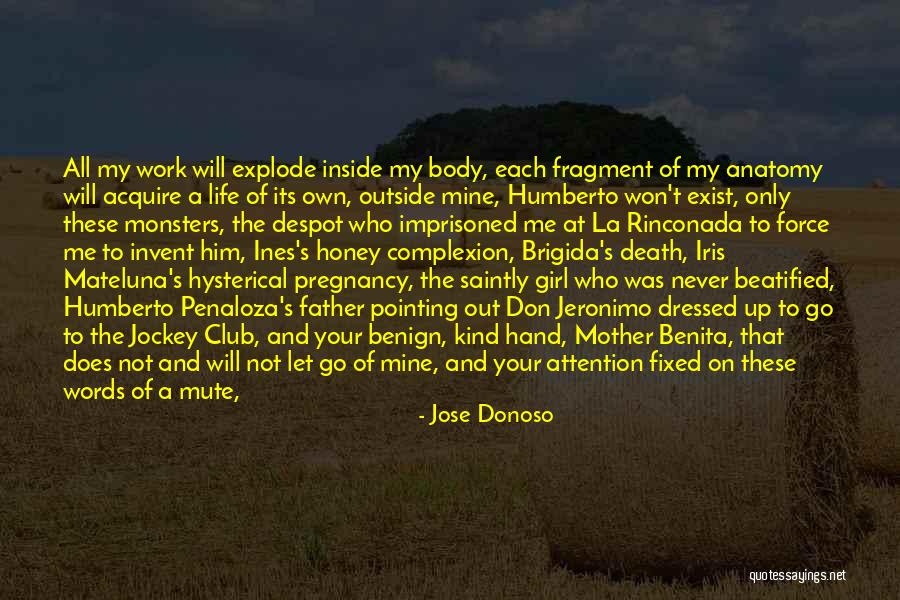 Borgias Series Quotes By Jose Donoso Borgias Series Quotes By Jose Donoso