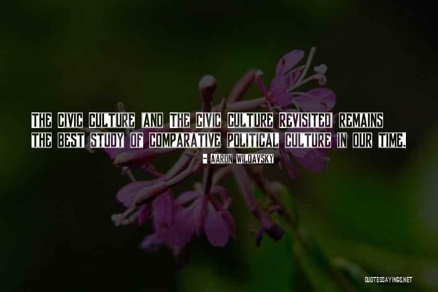 Borgman Quotes By Aaron Wildavsky Borgman Quotes By Aaron Wildavsky