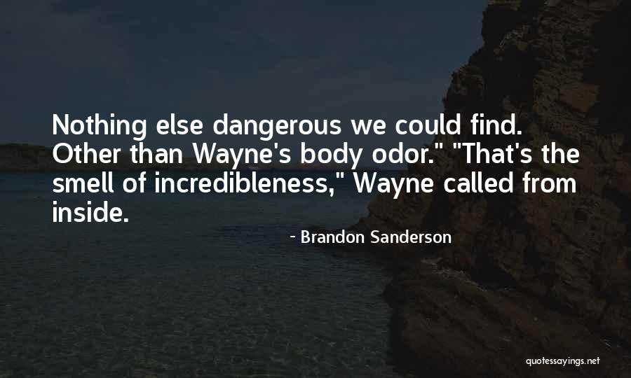 Borgmann Focal Practices Quotes By Brandon Sanderson Borgmann Focal Practices Quotes By Brandon Sanderson