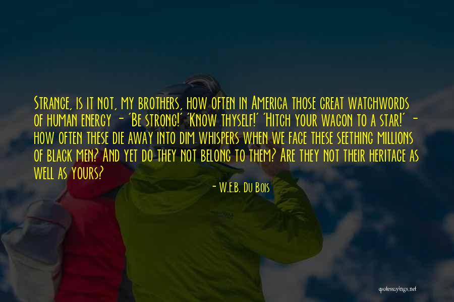 Borgmann Focal Practices Quotes By W.E.B. Du Bois Borgmann Focal Practices Quotes By W.E.B. Du Bois