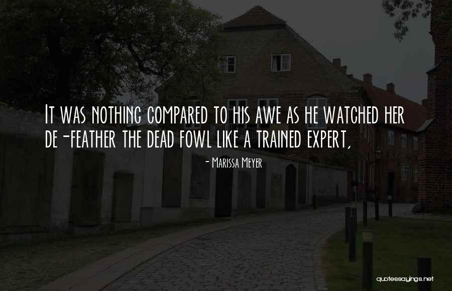Borgne Texas Quotes By Marissa Meyer Borgne Texas Quotes By Marissa Meyer