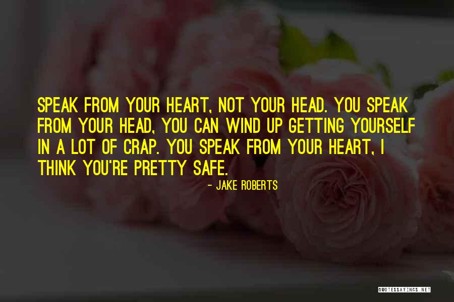 Borhan Quotes By Jake Roberts Borhan Quotes By Jake Roberts