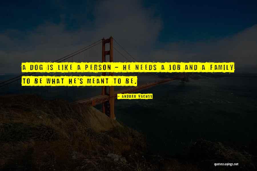 Boriana Quotes By Andrew Vachss Boriana Quotes By Andrew Vachss