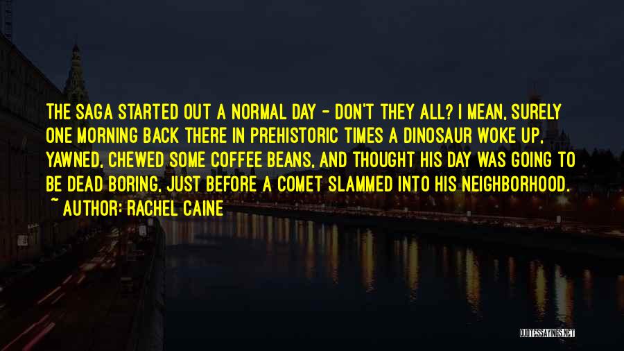 Boring But Funny Quotes By Rachel Caine