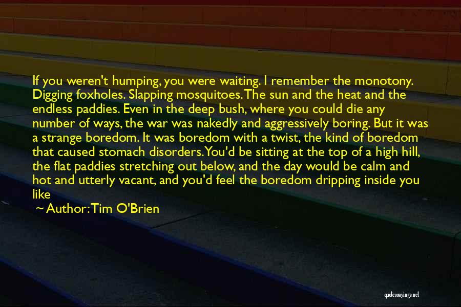 Boring Day Quotes By Tim O'Brien