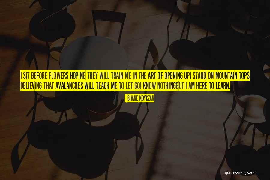 Boring Insects Quotes By Shane Koyczan Boring Insects Quotes By Shane Koyczan