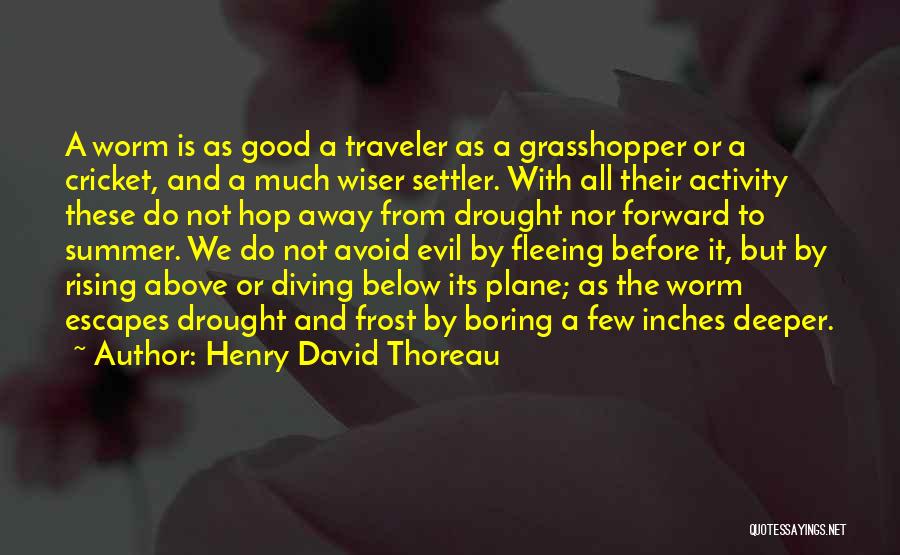 Boring Summer Quotes By Henry David Thoreau