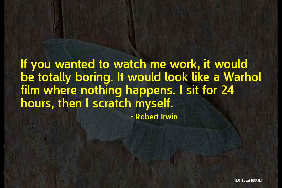 Boring Work Quotes By Robert Irwin