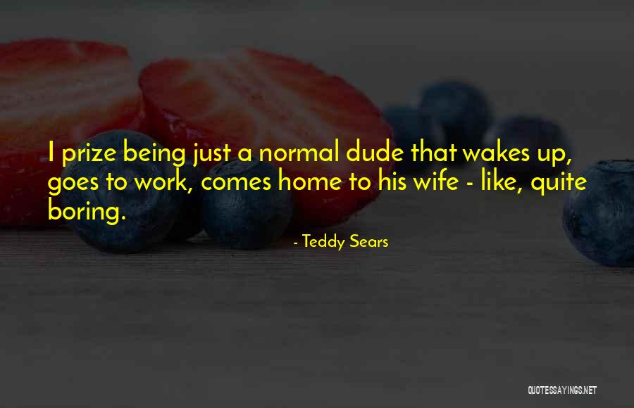 Boring Work Quotes By Teddy Sears