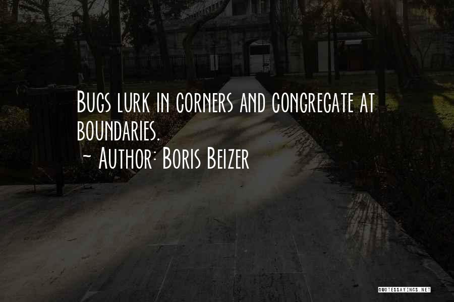 Boris Beizer Quotes 1524434