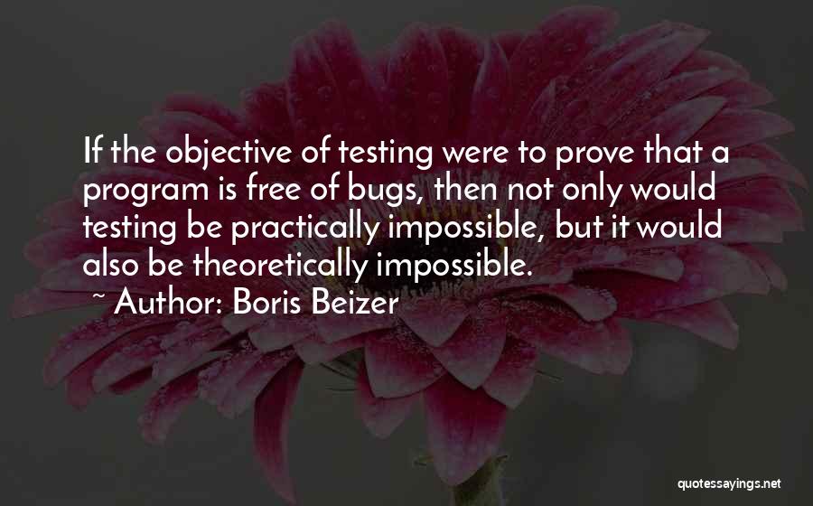 Boris Beizer Quotes 81096