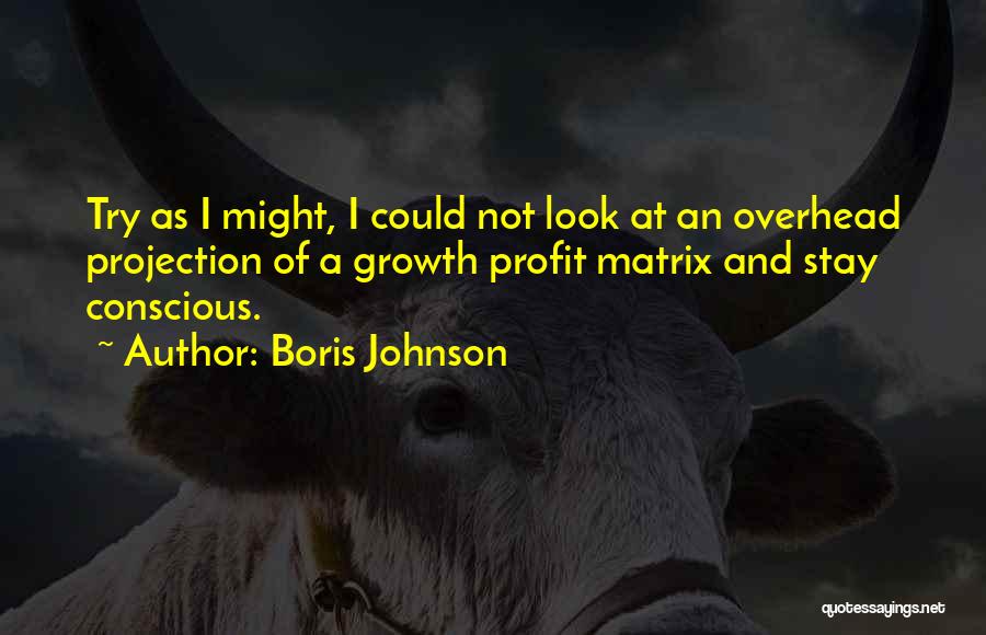 Boris Johnson Quotes 976975