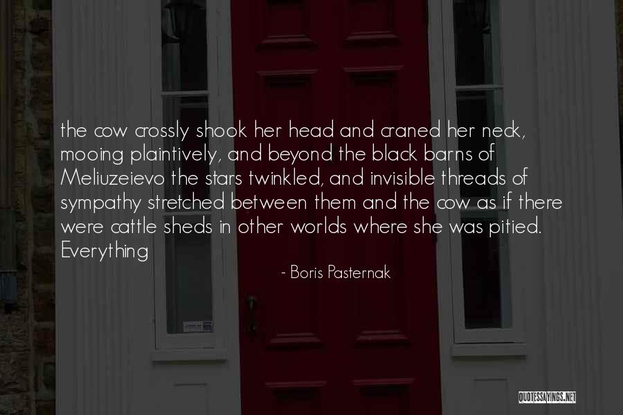 Boris Pasternak Quotes 1355017 Boris Pasternak Quotes 1355017