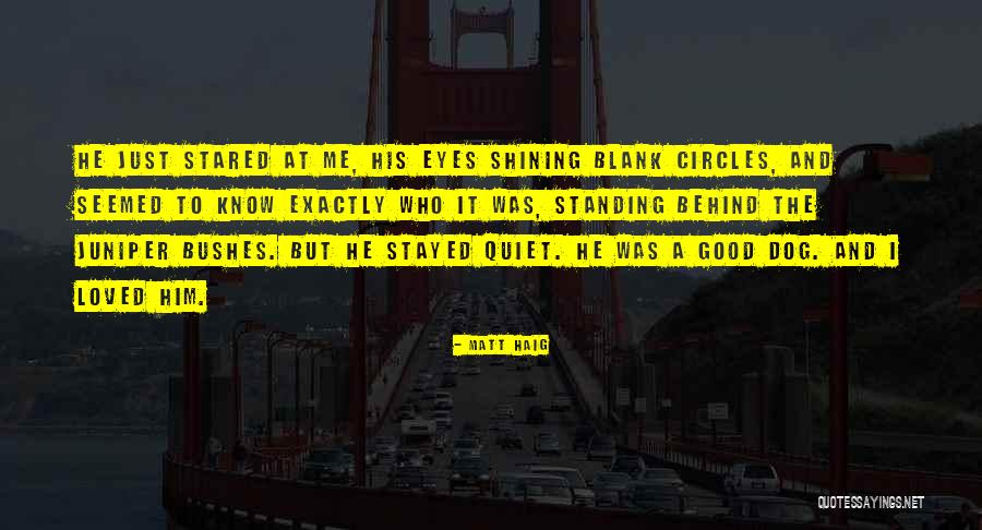 Borisav Stankovic Kostana Quotes By Matt Haig Borisav Stankovic Kostana Quotes By Matt Haig