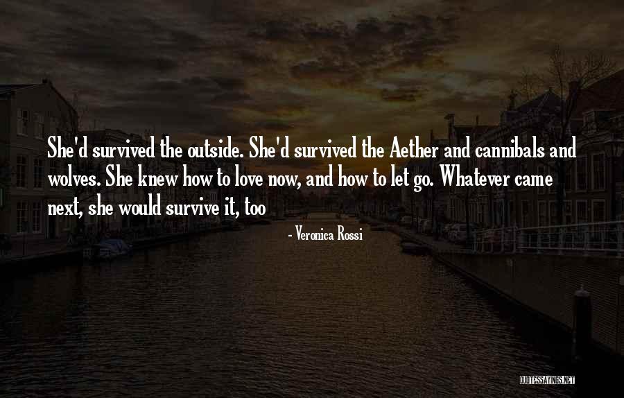 Borja Luna Quotes By Veronica Rossi Borja Luna Quotes By Veronica Rossi